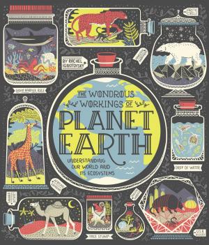 Book cover of The Wondrous Workings of Planet Earth