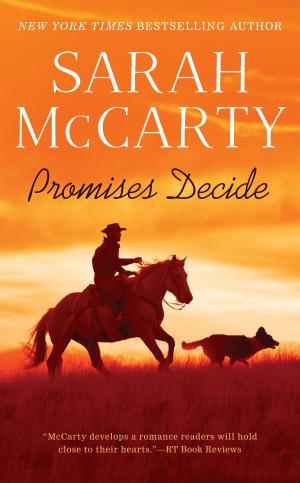 Book cover of Promises Decide