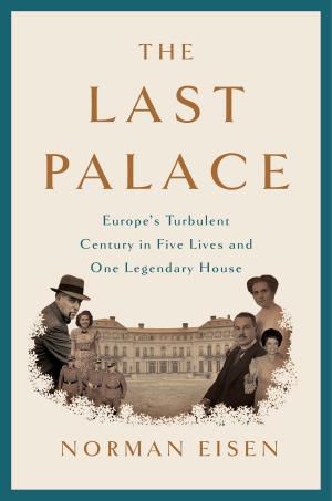 Cover of the book The Last Palace by Paul Collins