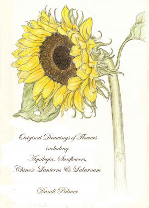Book cover of Original Drawings of Flowers including Aquilegia, Sunflowers, Chinese Lanterns and Laburnum