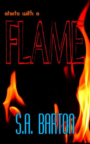 Cover of the book Starts With A Flame by Caroline Sers