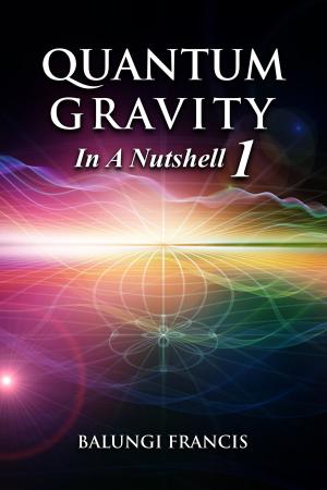 Cover of the book Quantum Gravity in a Nutshell 1 by Jamal Shrair