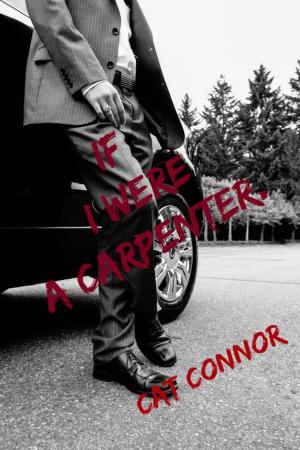 Cover of the book If I Were A Carpenter by Cat Connor