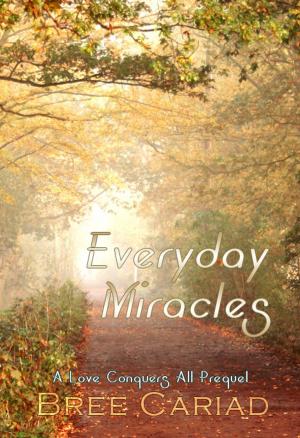 Cover of the book Everyday Miracles by Cynthia Kimball
