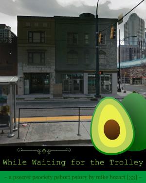 Book cover of While Waiting for the Trolley