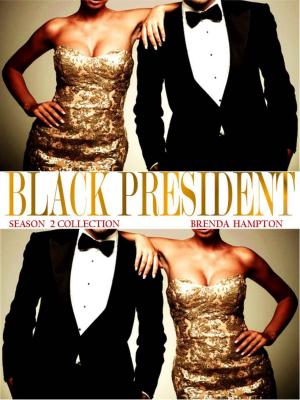 Book cover of Black President Season 2 Collection