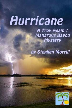 Cover of the book Hurricane by Ed McBain