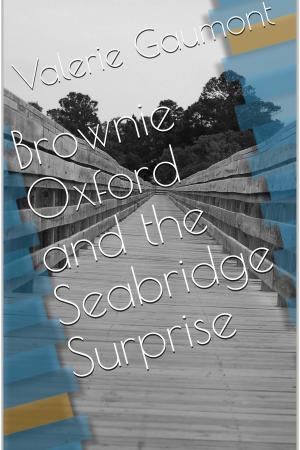 Cover of the book Brownie Oxford and the Seabridge Surprise by David E. Gates