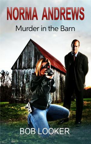 Book cover of Norma Andrews Murder in the Barn
