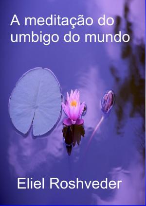 Cover of the book A meditação do umbigo do mundo by Guilherme Oliveira