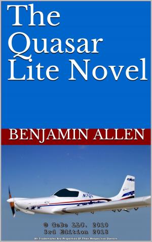 Book cover of The Quasar Lite Novel