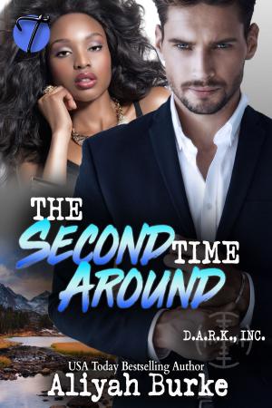 Cover of the book The Second Time Around by April Andrews