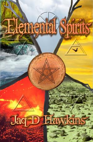 Cover of the book Elemental Spirits by Austin O Crawley