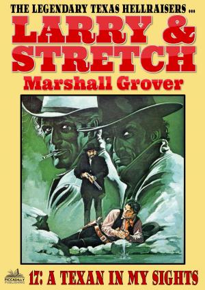 bigCover of the book Larry and Stretch 17: Texan in my Sights by 