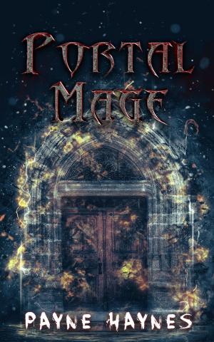 Book cover of Portal Mage