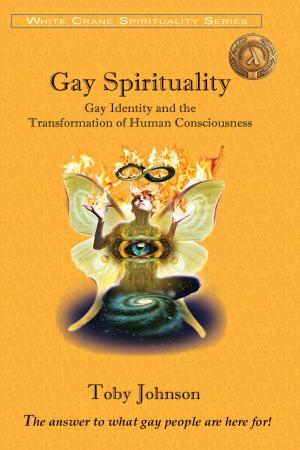 Cover of the book Gay Spirituality: Gay Identity and the Transformation of Human Consciousness by Nancy E. Shaffer
