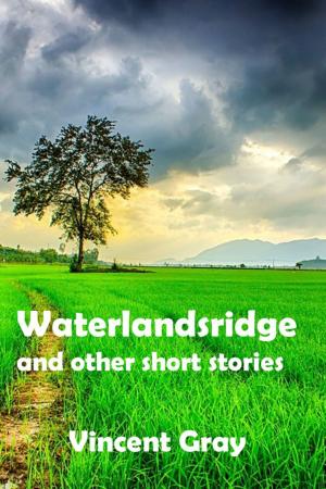 Cover of Waterlandsridge and Other Short Stories