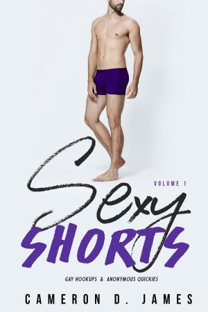 bigCover of the book Sexy Shorts: Gay Hookups and Anonymous Quickies: Volume One by 
