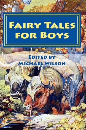 Cover of the book Fairy Tales for Boys by Luke Hartwell