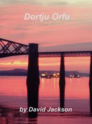 Cover of the book Dortju Orfu by Paul Adams