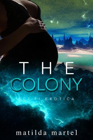 Book cover of The Colony: Sci Fi Erotica