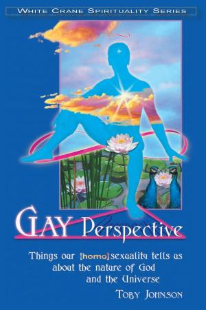 Cover of Gay Perspective: Things our [Homo]sexuality Tells Us About the Nature of God and the Universe