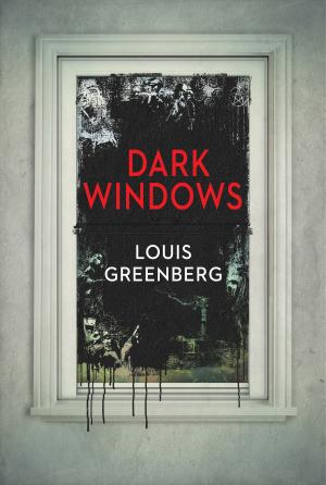 bigCover of the book Dark Windows by 