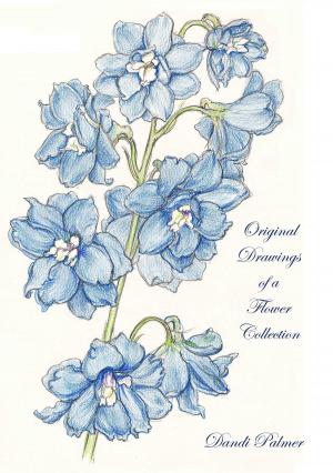 Cover of the book Original Drawings of a Flower Collection by Jonathan Day