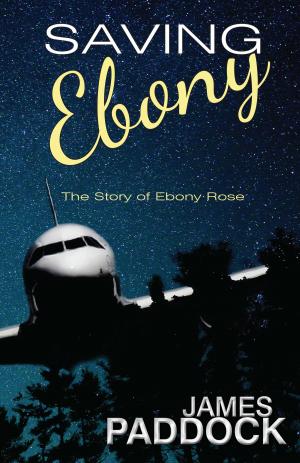 Book cover of Saving Ebony