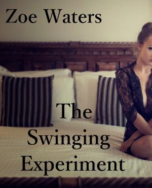 Cover of the book The Swinging Experiment by Kristen J. Shallot