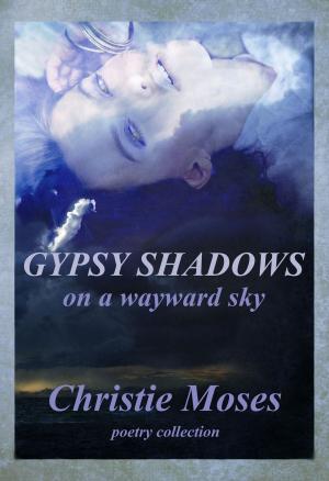 Book cover of Gypsy Shadows On A Wayward Sky
