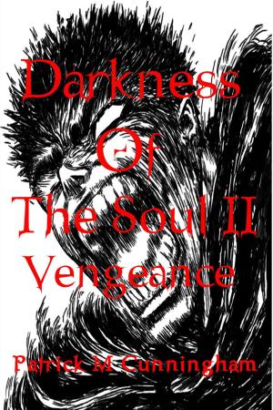 Cover of the book Darkness of the Soul II Vengeance by Barry Larkins