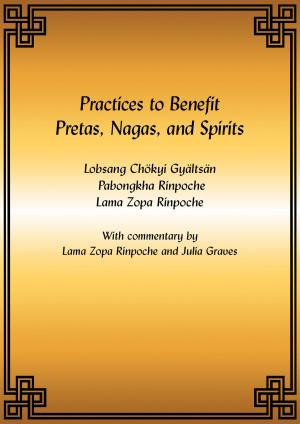 bigCover of the book Practices to Benefit Pretas, Nagas and Spirits eBook by 