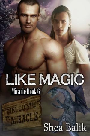 Book cover of Like Magic, Miracle Book 6
