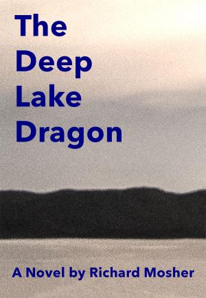 Book cover of The Deep Lake Dragon
