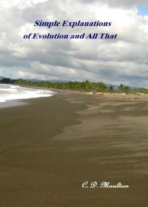 bigCover of the book Simple Explanations of Evolution and All That by 