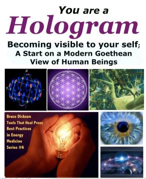 Cover of the book You Are a Hologram Becoming Visible to Your Self; A Start on a Modern Goethean View of Human Beings by Bruce Dickson