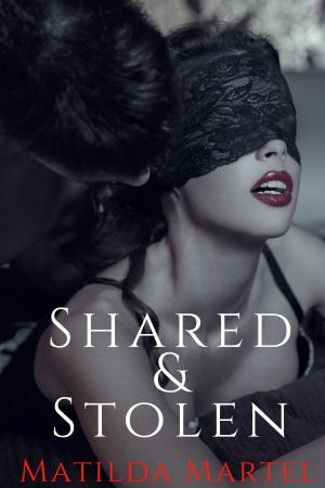 Cover of the book Shared & Stolen by Matilda Martel, Amelie Lenoir