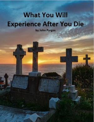 Cover of the book What You Will Experience After You Die by Joy Bach