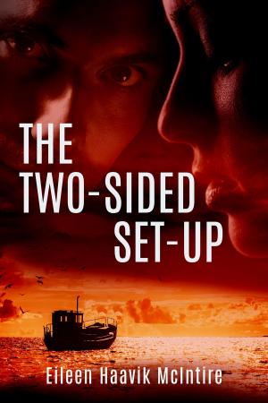 Cover of the book The Two-Sided Set-Up by Laura Hawks