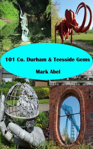 Cover of 101 County Durham Gems
