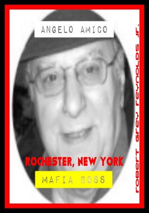 Cover of Angelo Amico Rochester, New York Mafia Boss