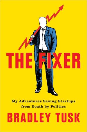 Cover of the book The Fixer by Akasha Richmond