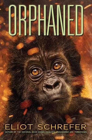 bigCover of the book Orphaned by 