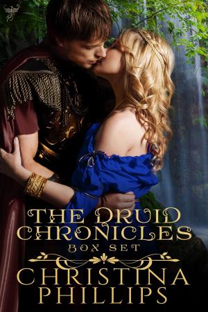 Cover of the book The Druid Chronicles by 還珠樓主