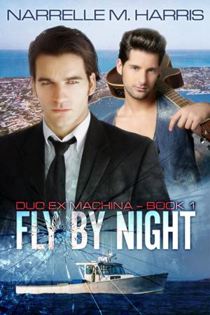 Cover of the book Fly By Night by Tommy Tickler