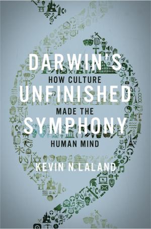 Cover of the book Darwin's Unfinished Symphony by James L. Kugel