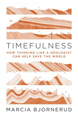 Cover of the book Timefulness by Lewis Glinert