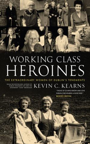 Book cover of Working Class Heroines