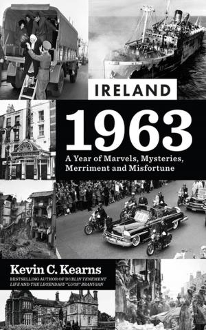 Cover of the book Ireland 1963 by Michael McCaughan